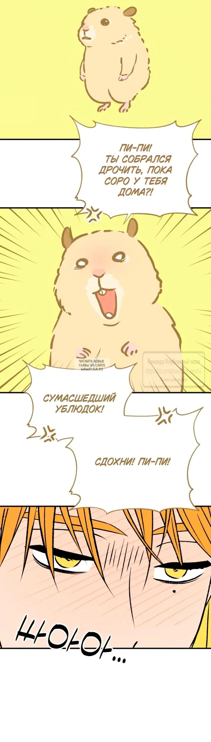 Page 28.000