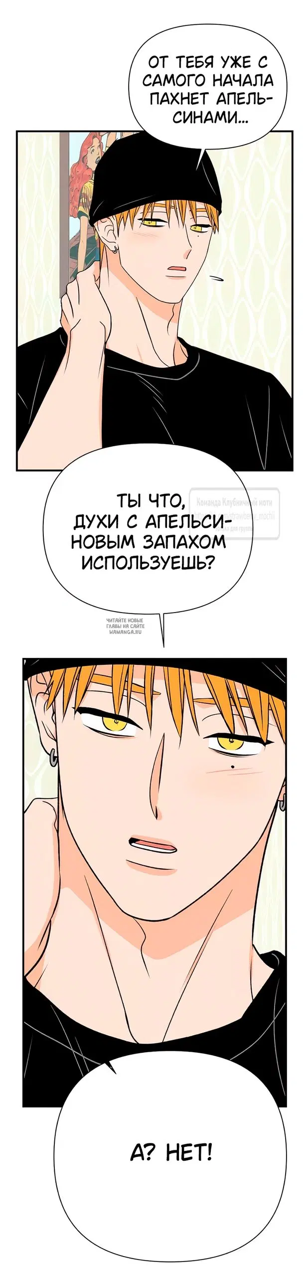 Page 36.000
