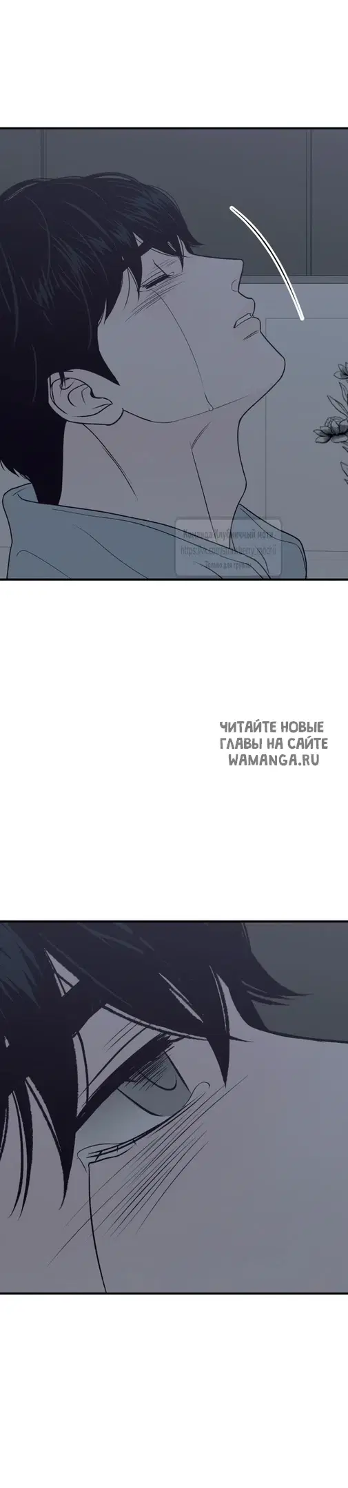 Page 30.000