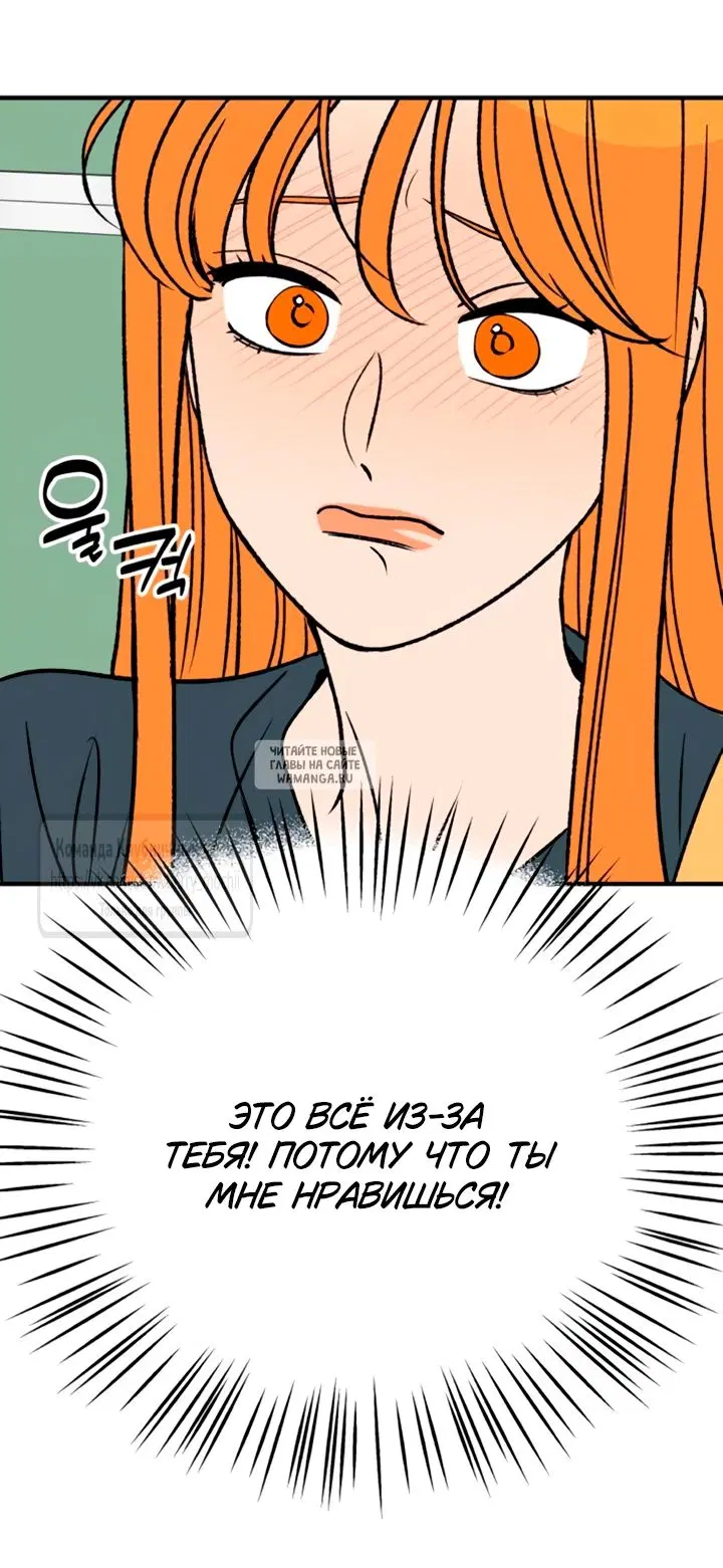 Page 31.000