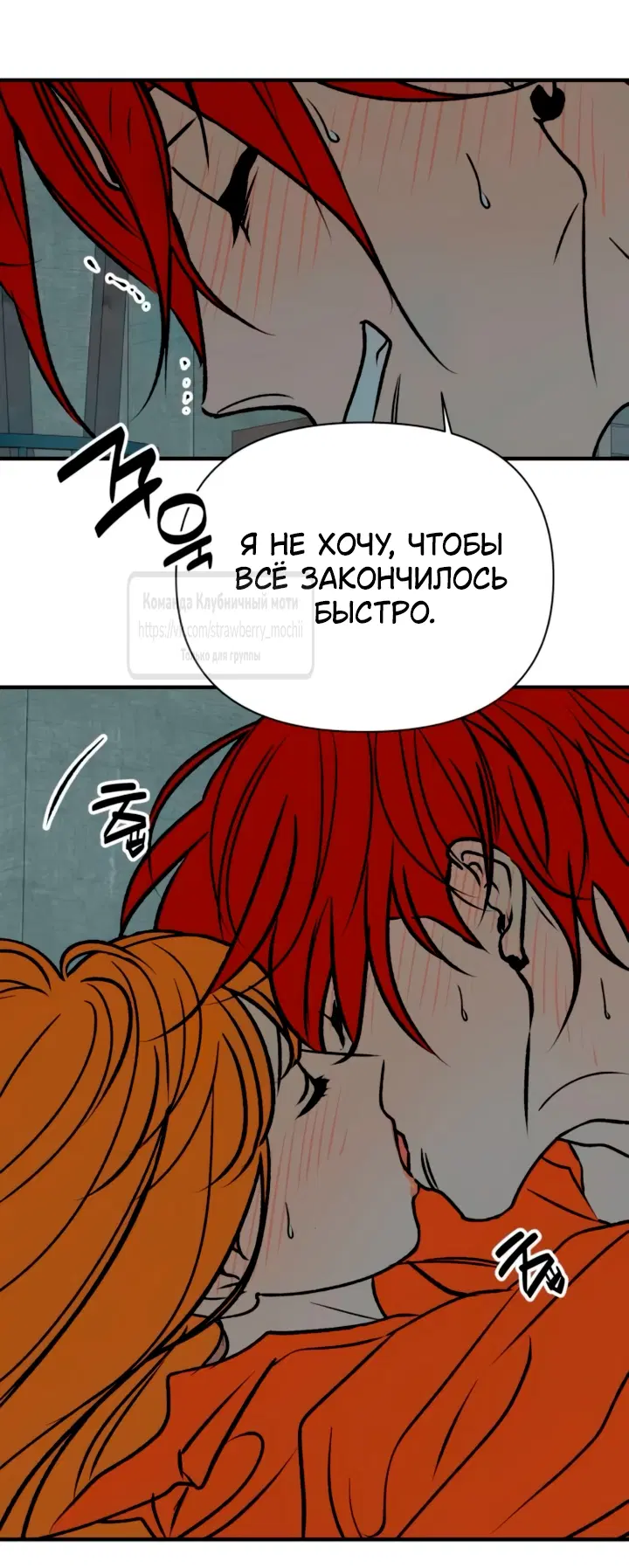 Page 31.000