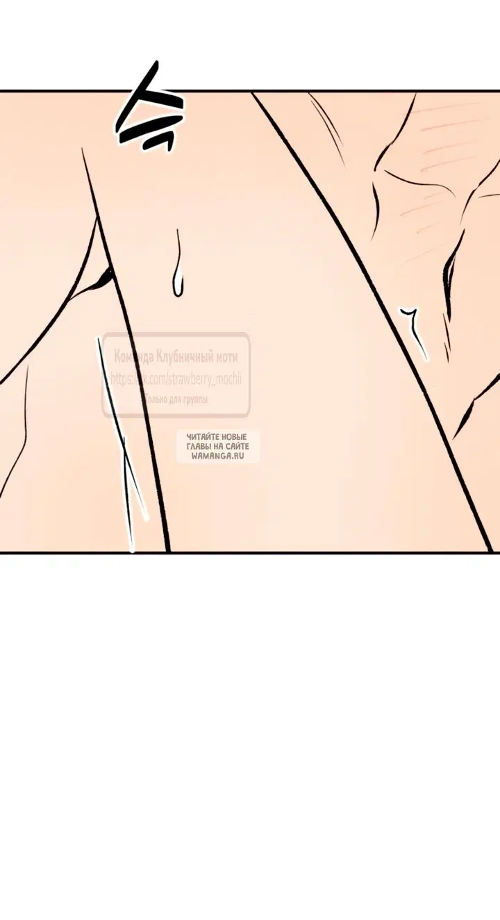 Page 41.000