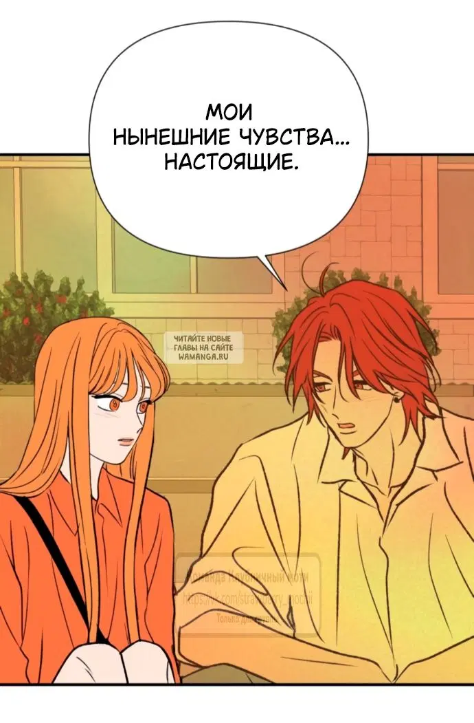Page 55.000