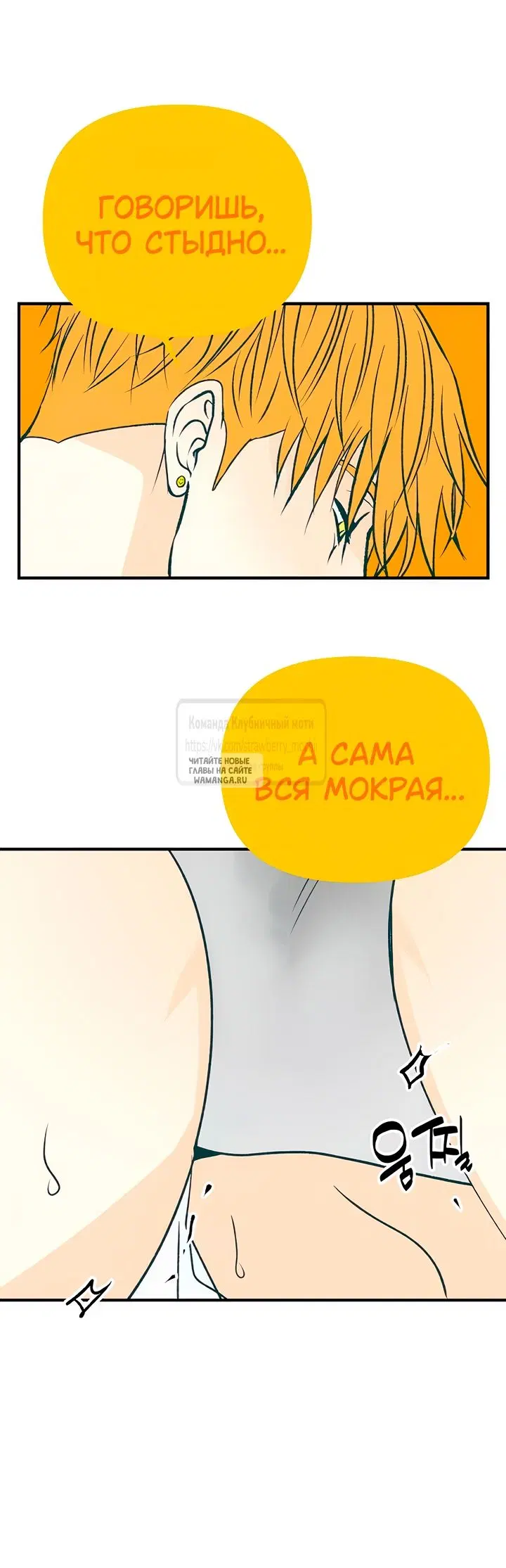 Page 53.000