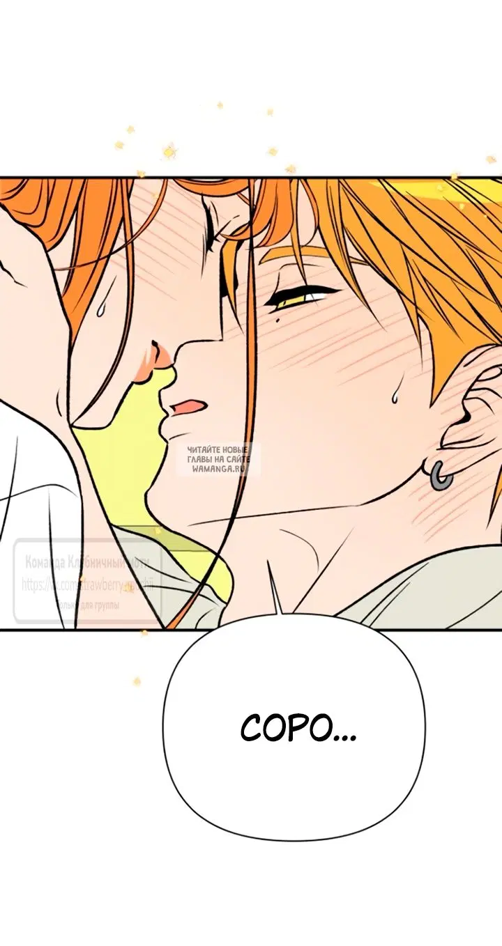 Page 61.000