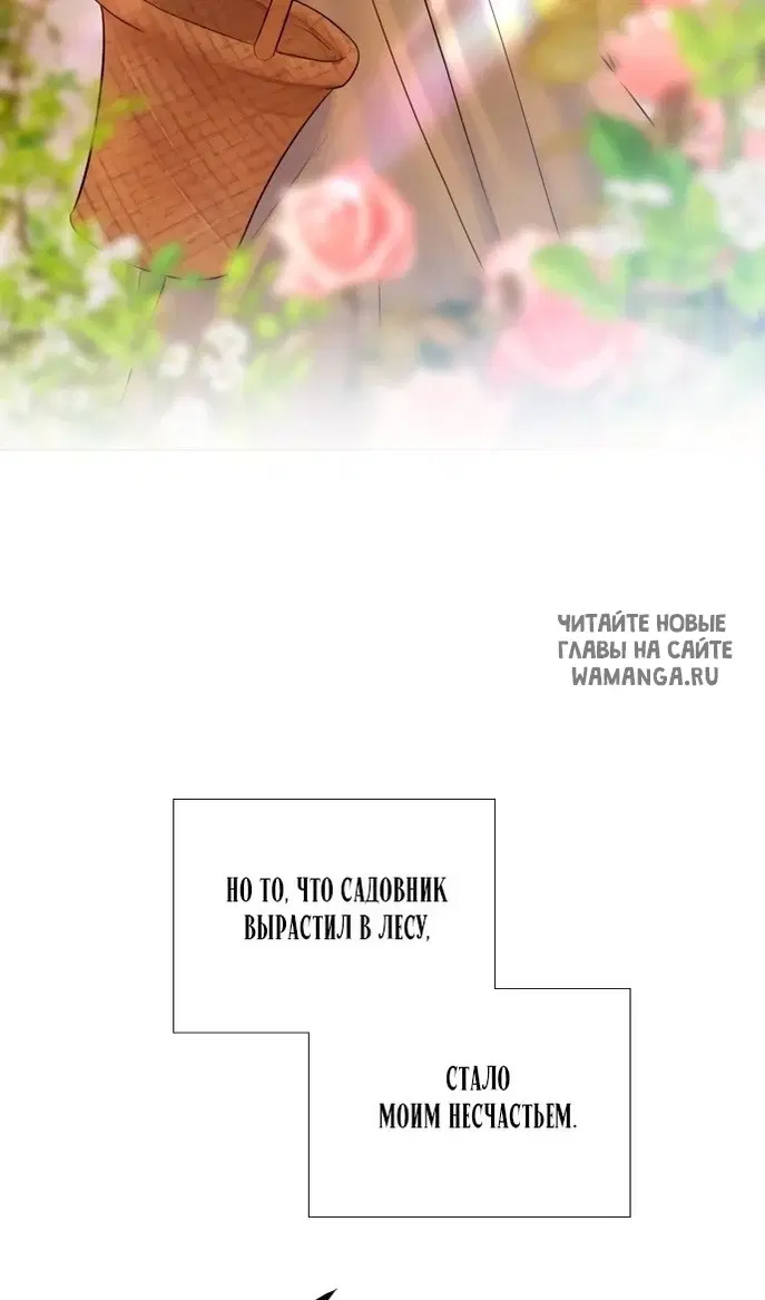 Page 101.000