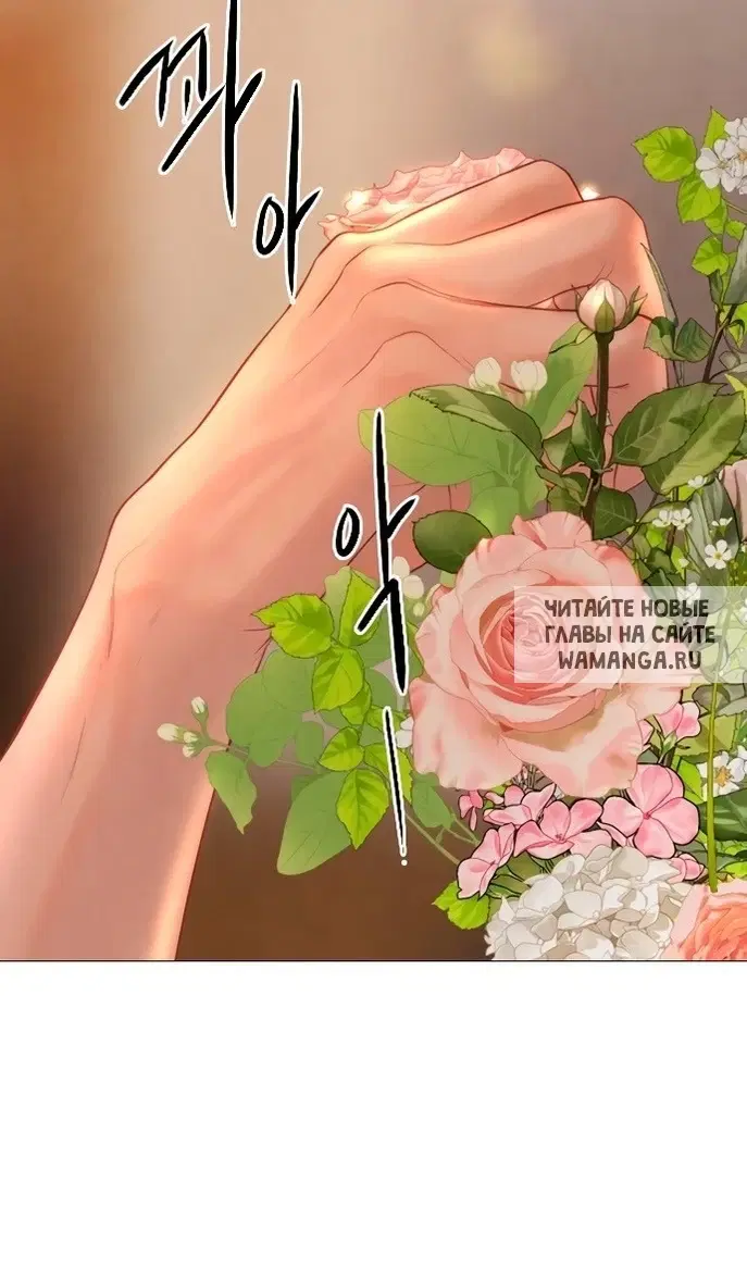 Page 113.000