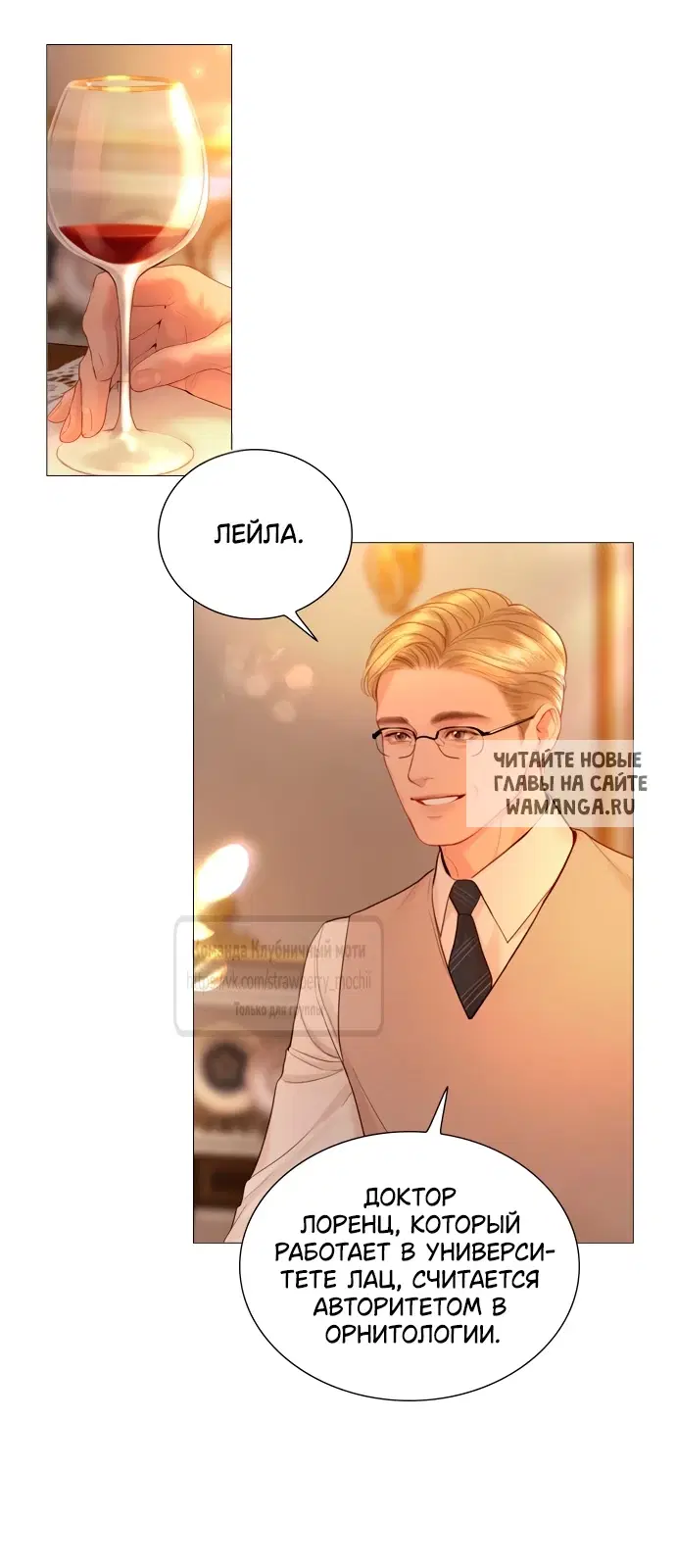 Page 28.000