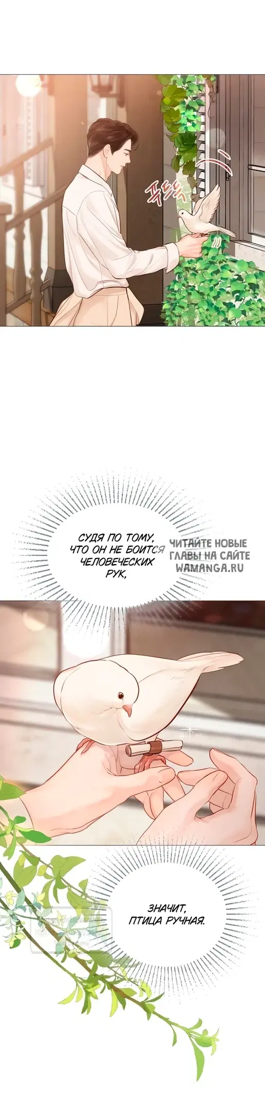 Page 22.000