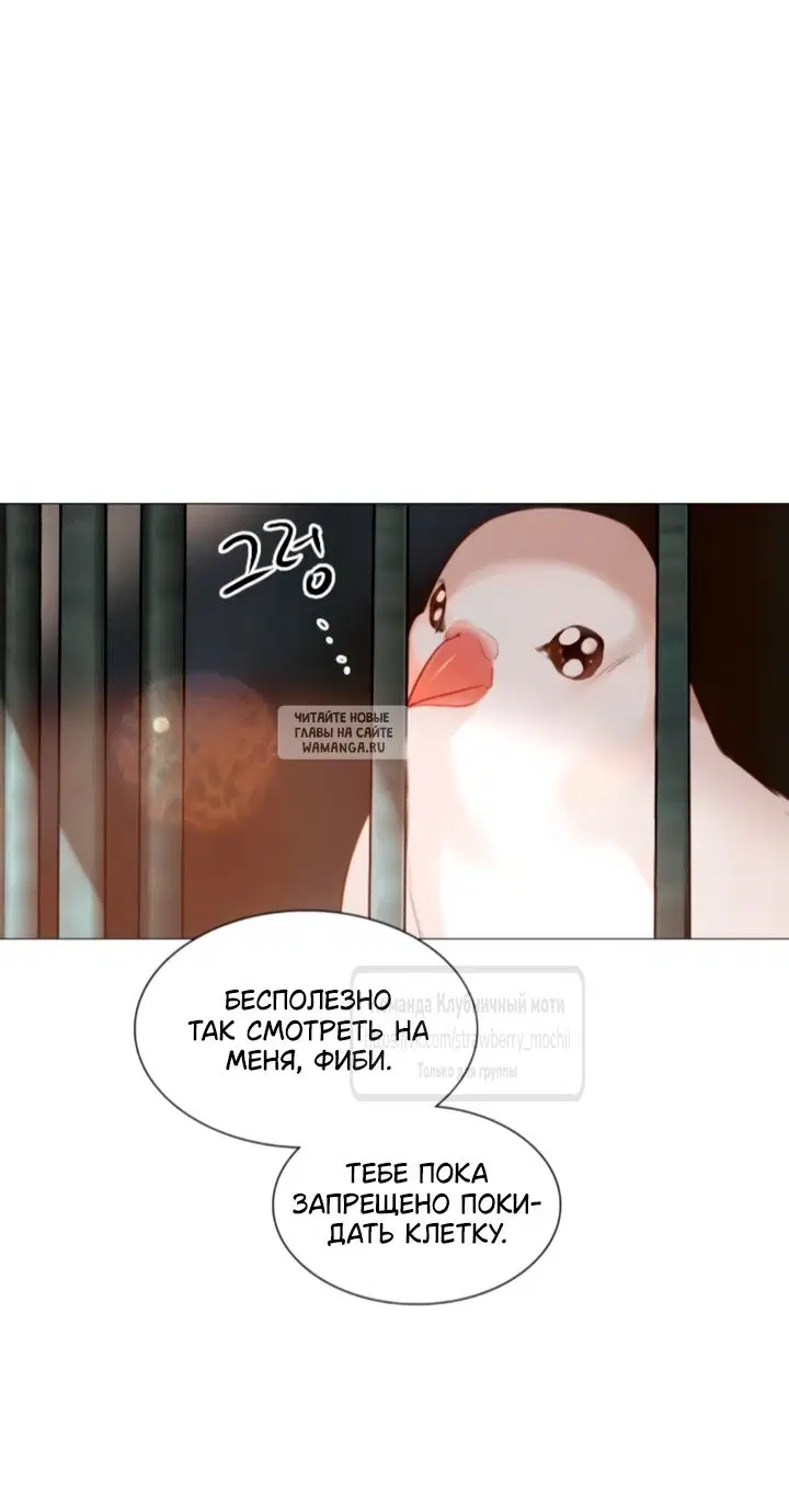 Page 22.000