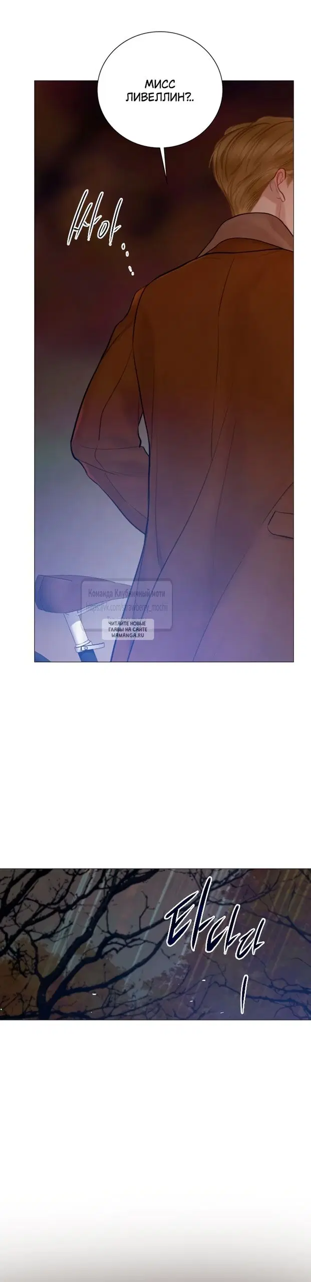 Page 35.000