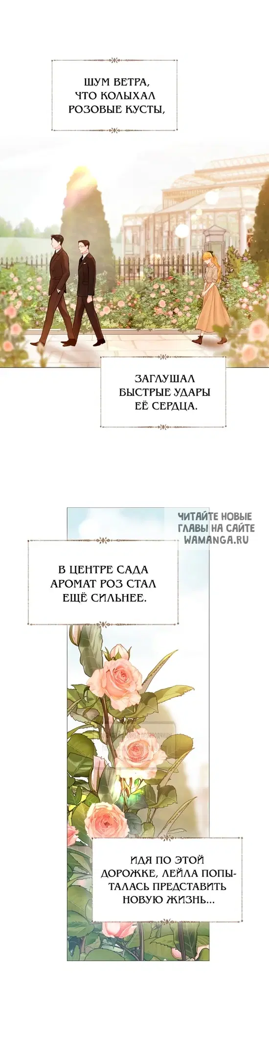 Page 36.000