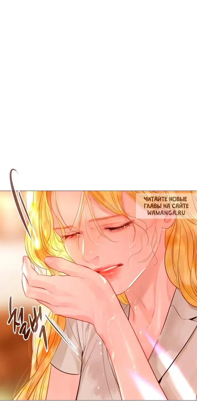 Page 36.000