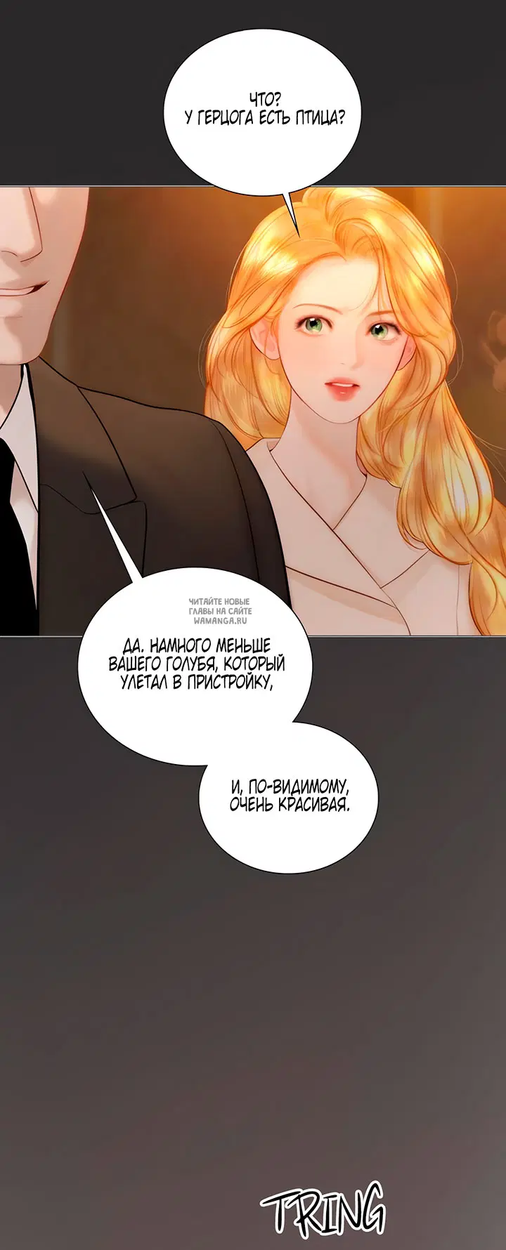 Page 38.000