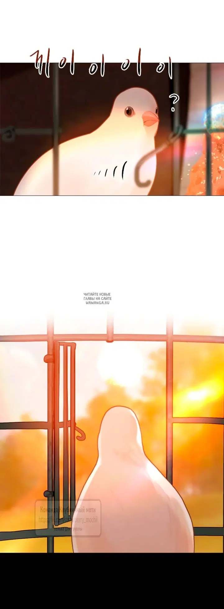 Page 38.000