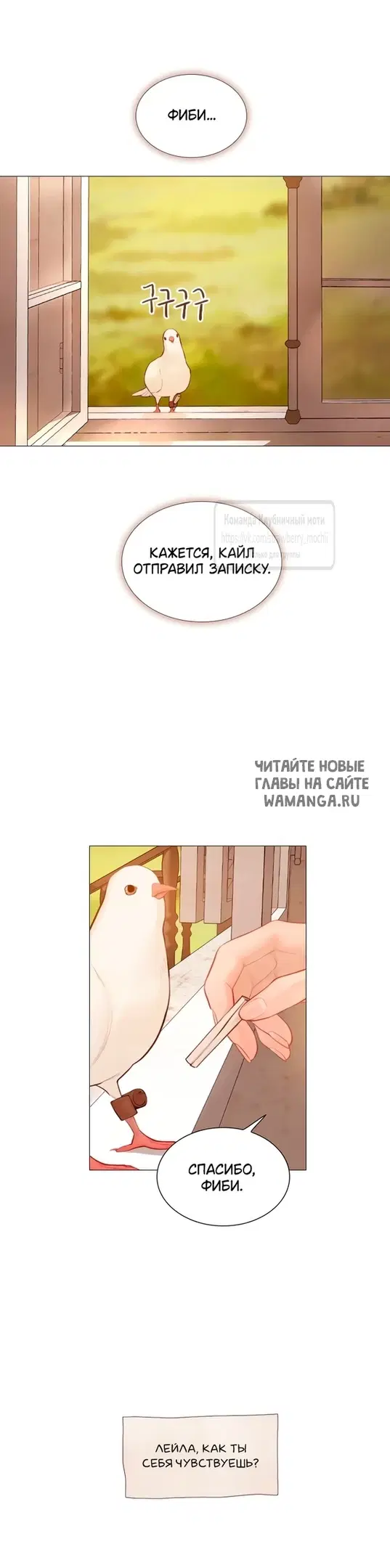 Page 31.000