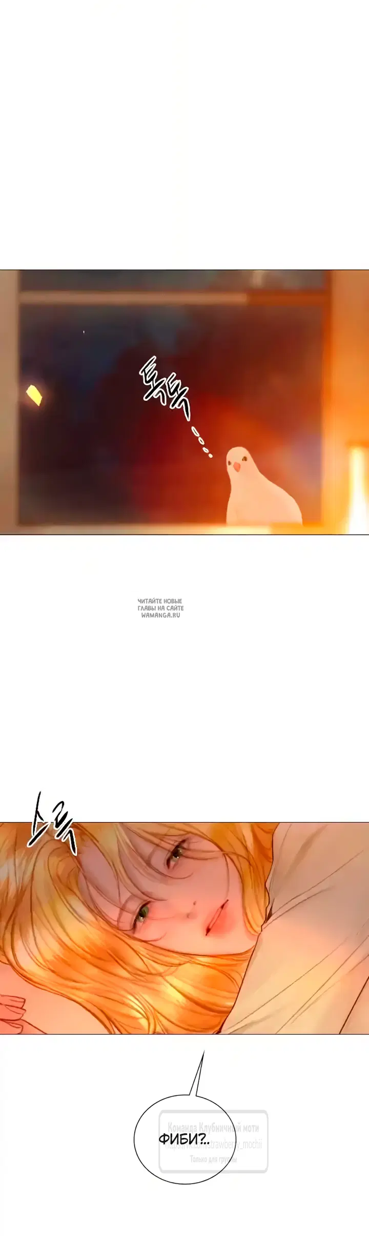 Page 31.000