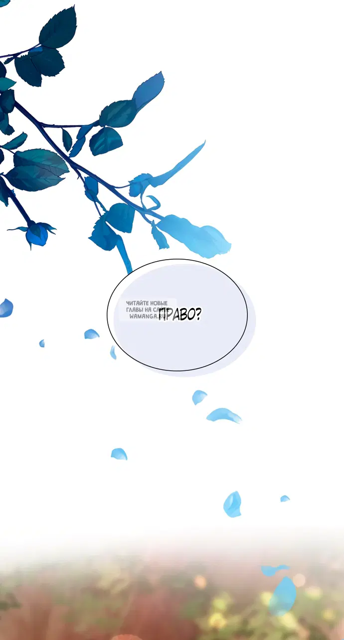 Page 32.000