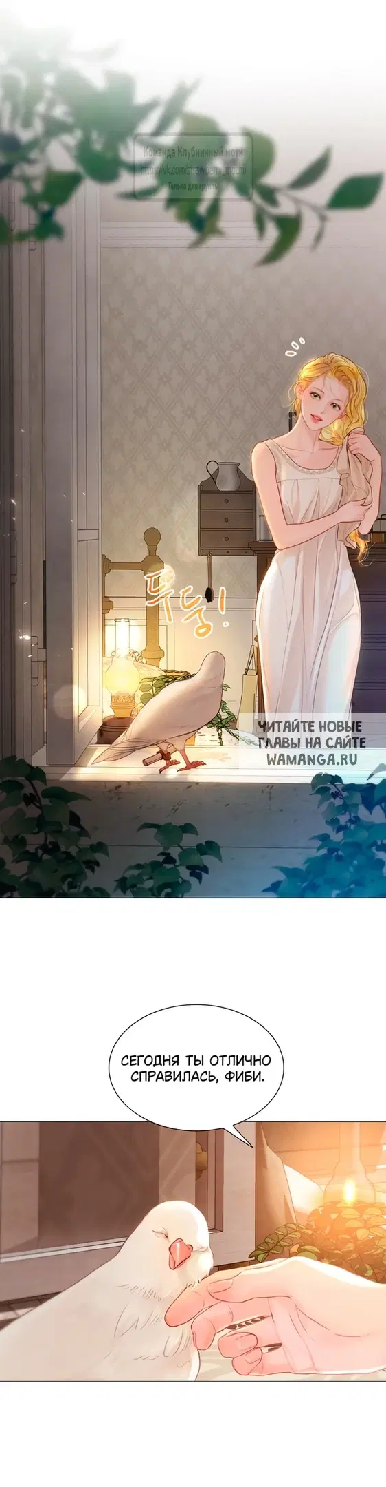 Page 41.000