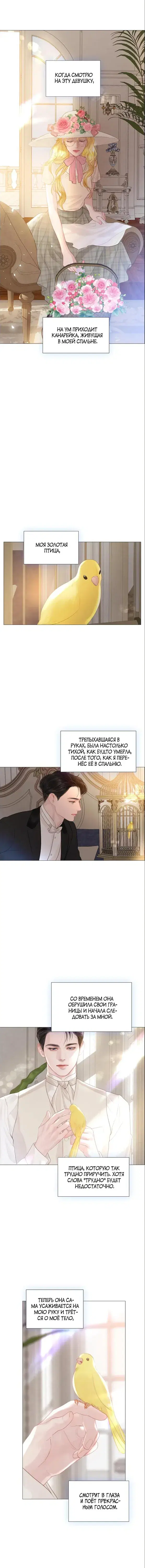 Page 4.001