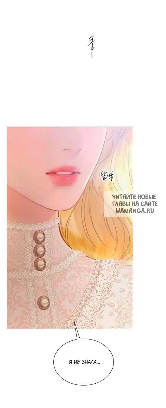Page 42.000