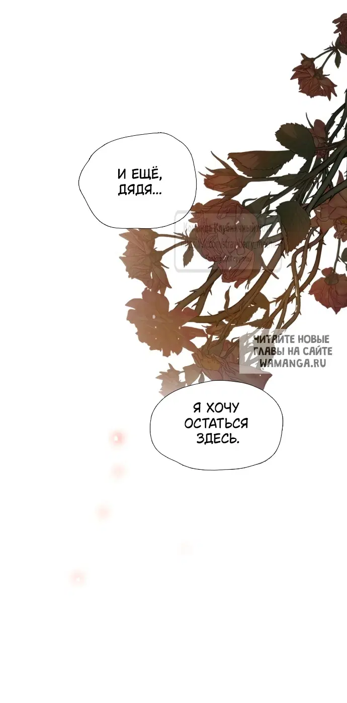 Page 43.000