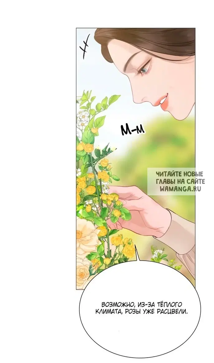 Page 55.000