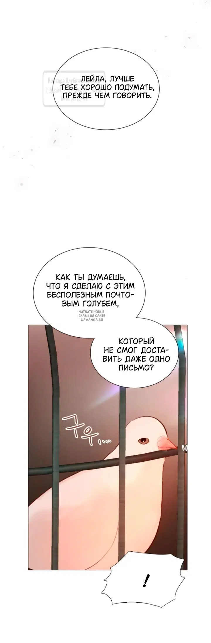 Page 55.000