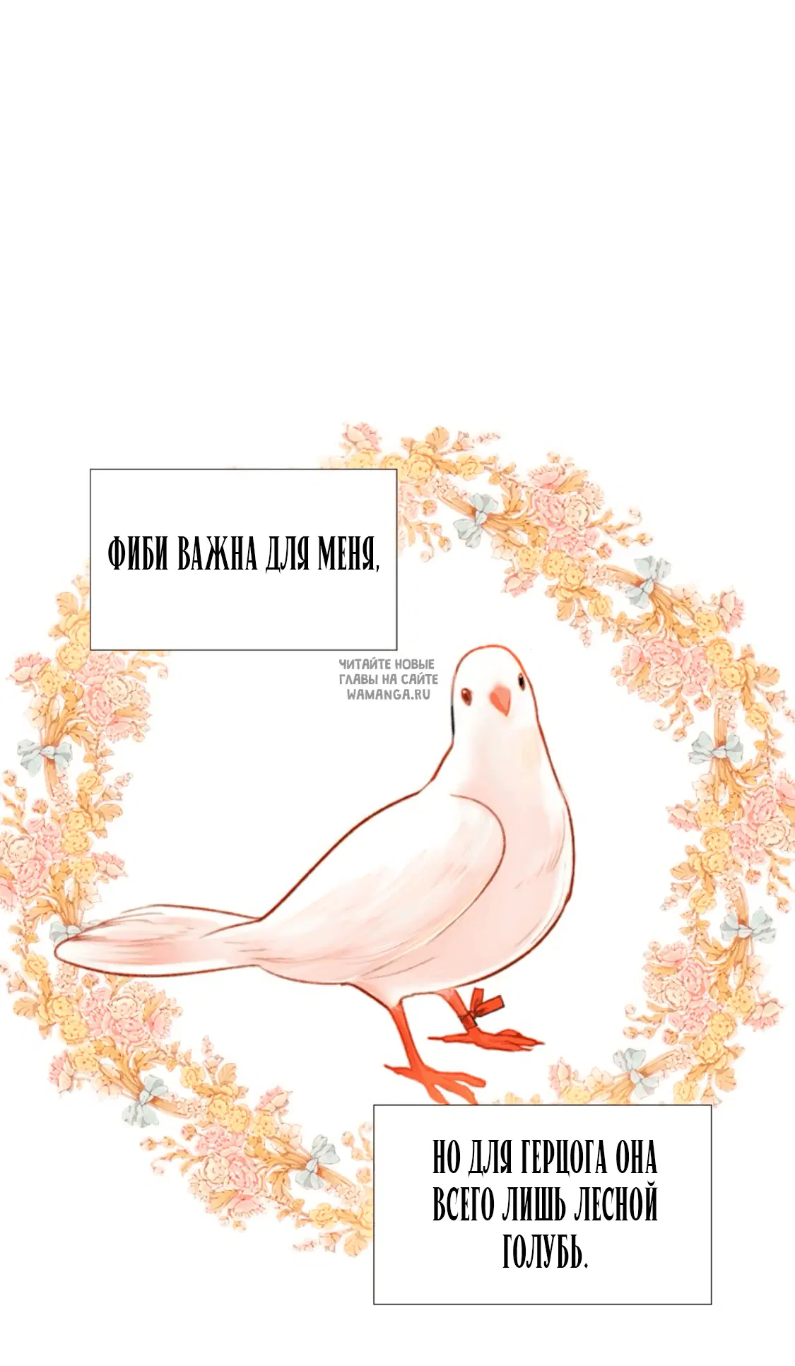 Page 56.000