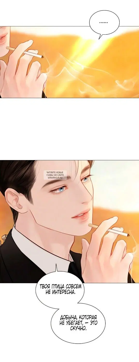 Page 58.000