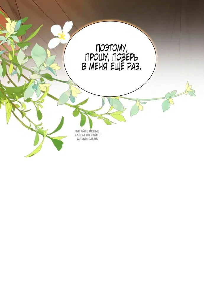 Page 50.000