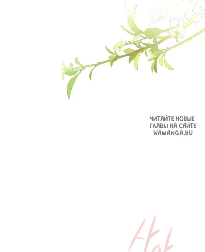 Page 50.000