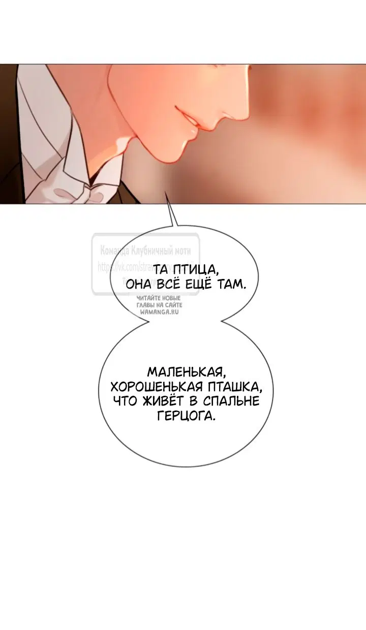 Page 50.000