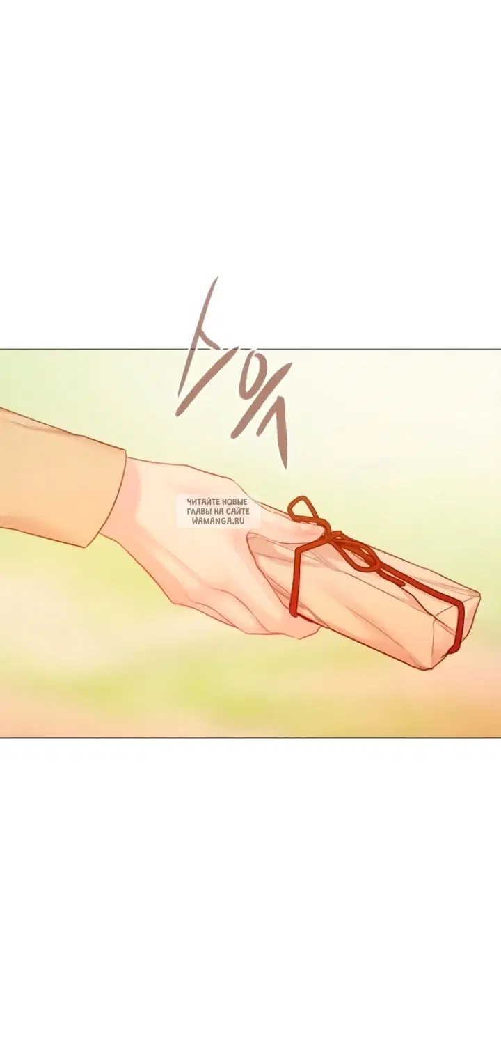 Page 51.000