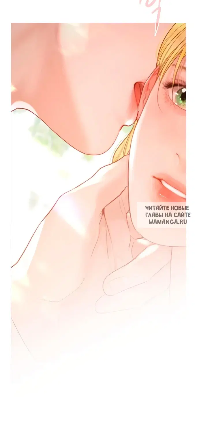 Page 51.000