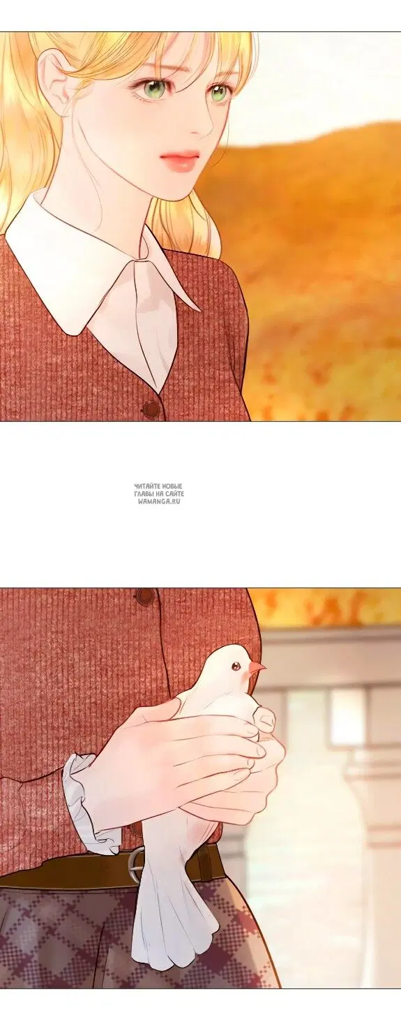 Page 51.000