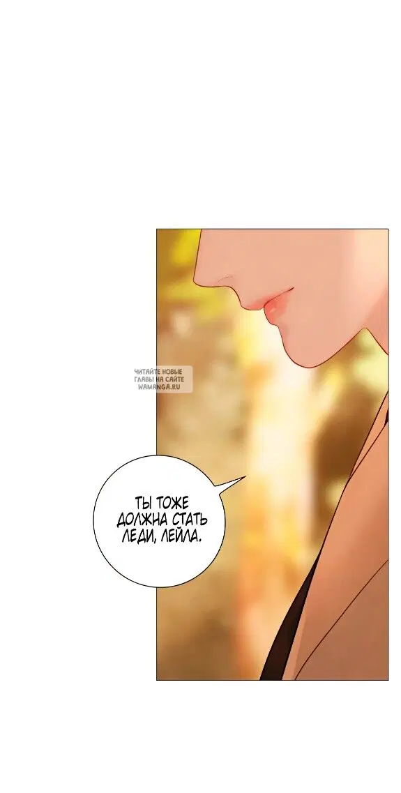 Page 51.000