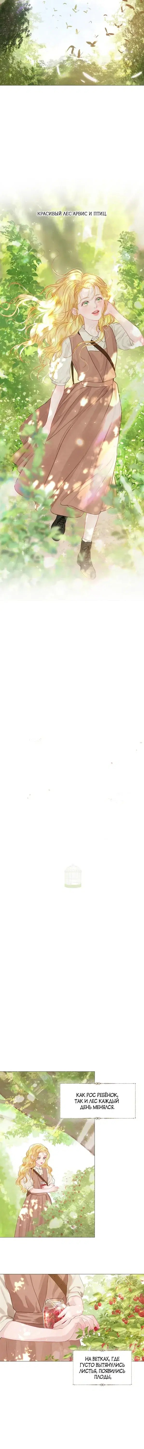 Page 5.001