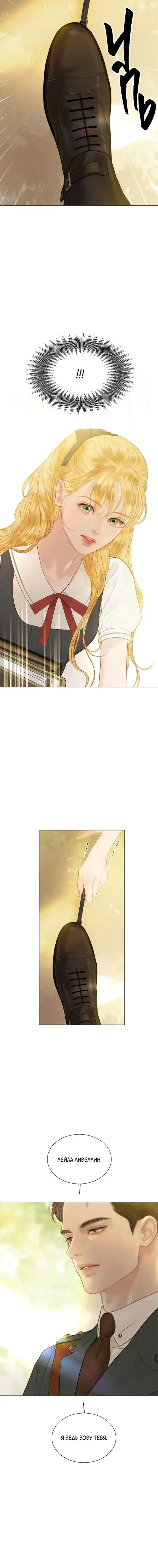 Page 5.001