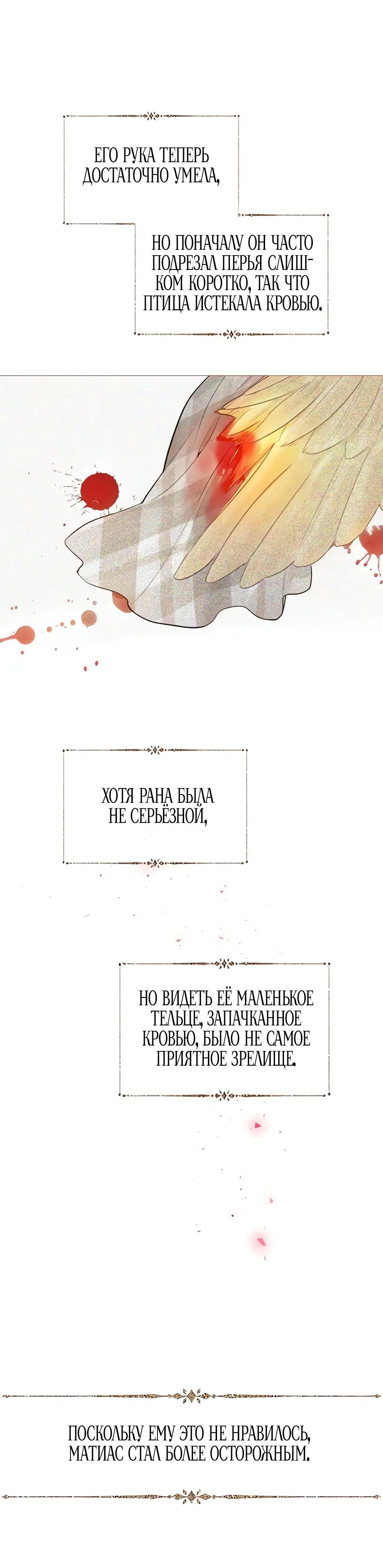 Page 5.001