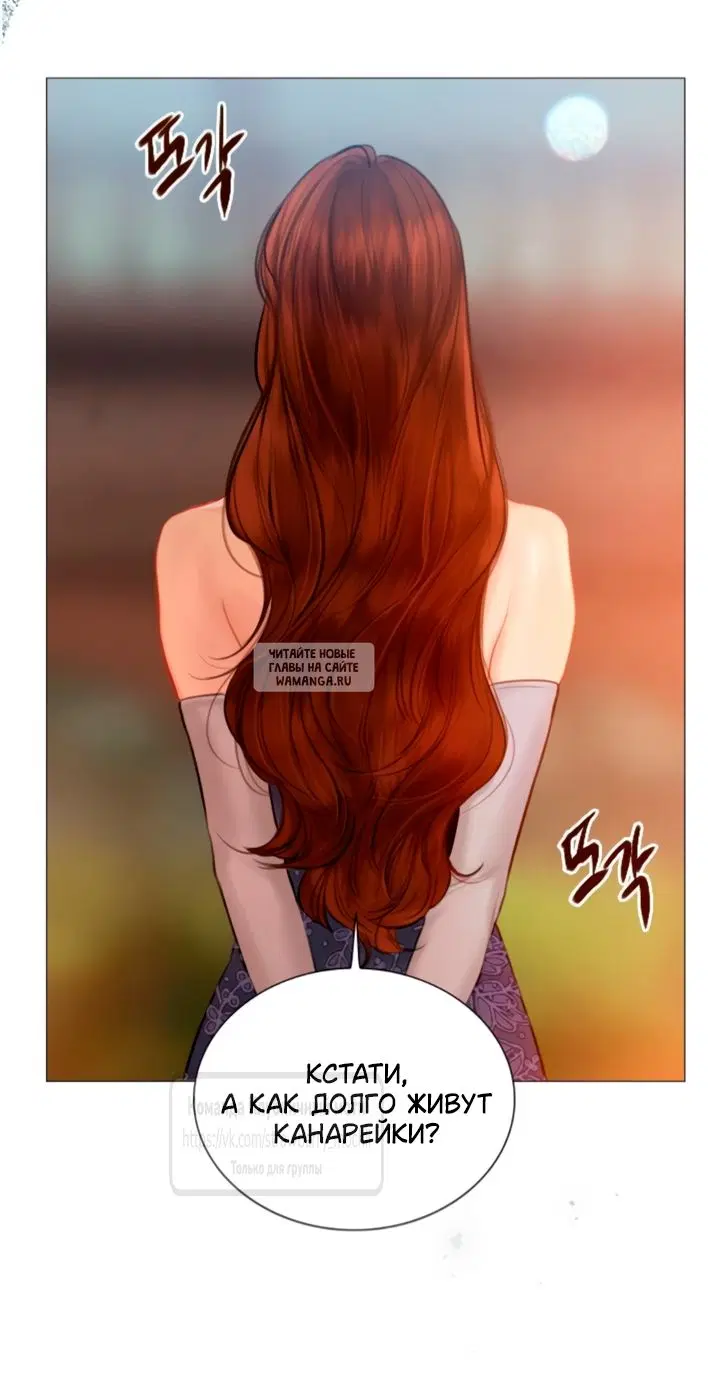 Page 53.000