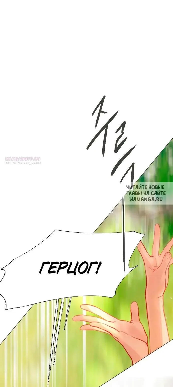 Page 61.000