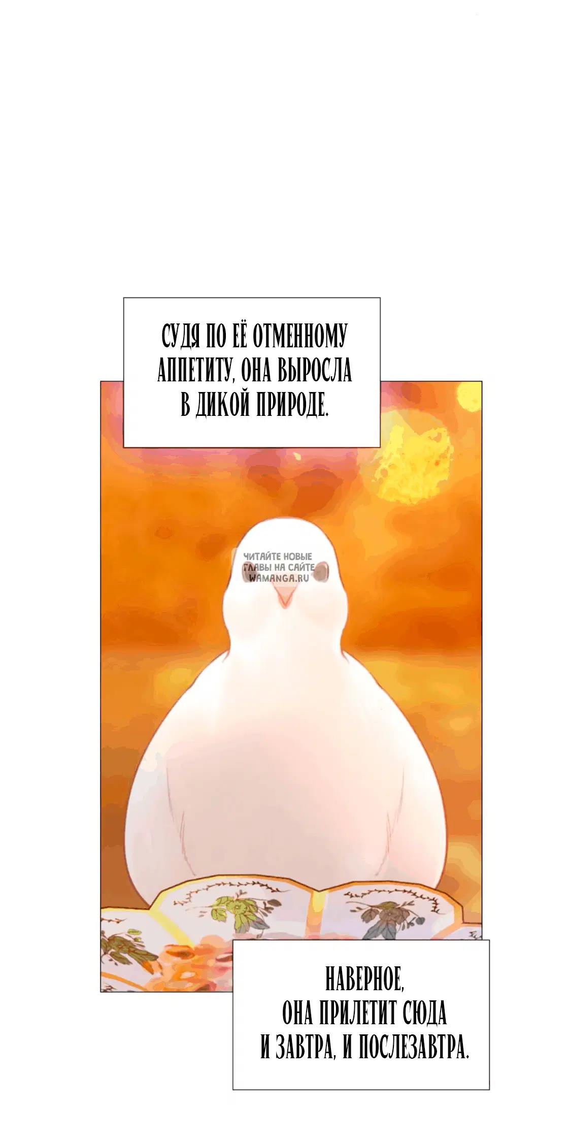 Page 62.000