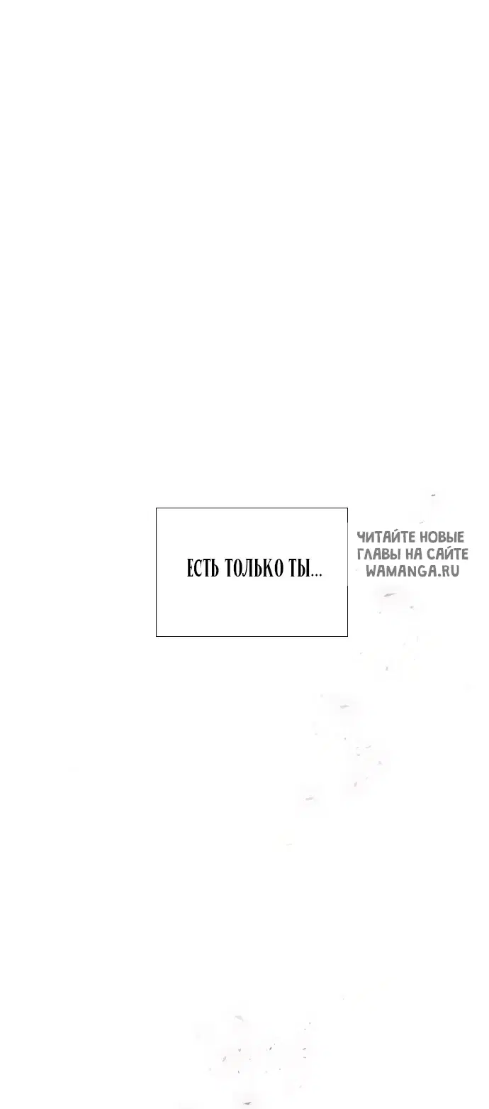 Page 95.000