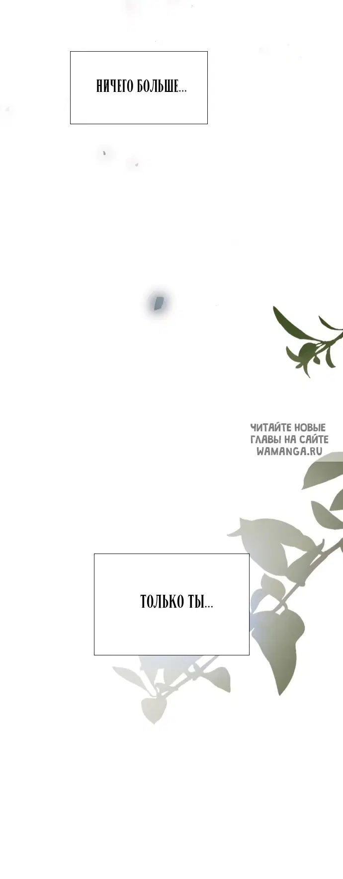 Page 96.000