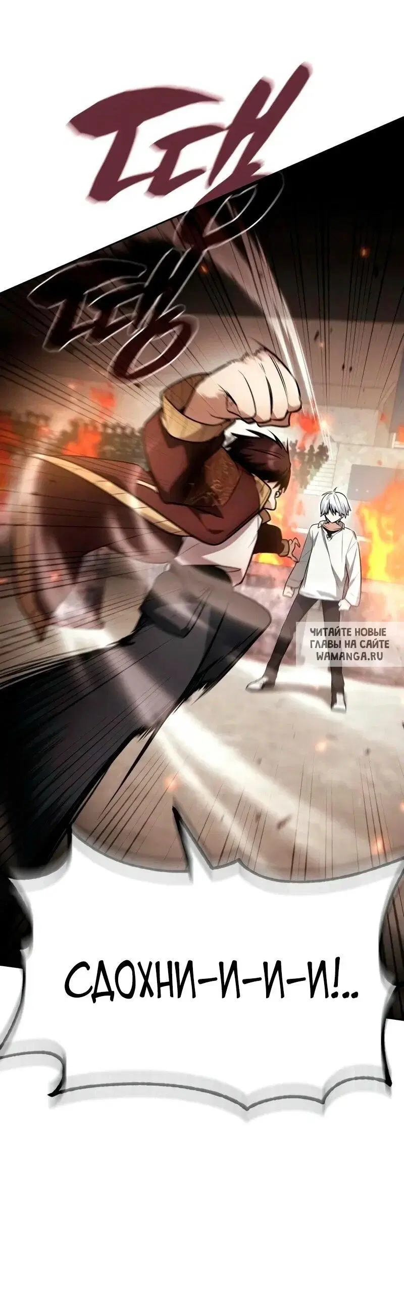 Page 55.000
