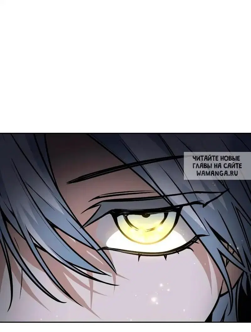 Page 50.000