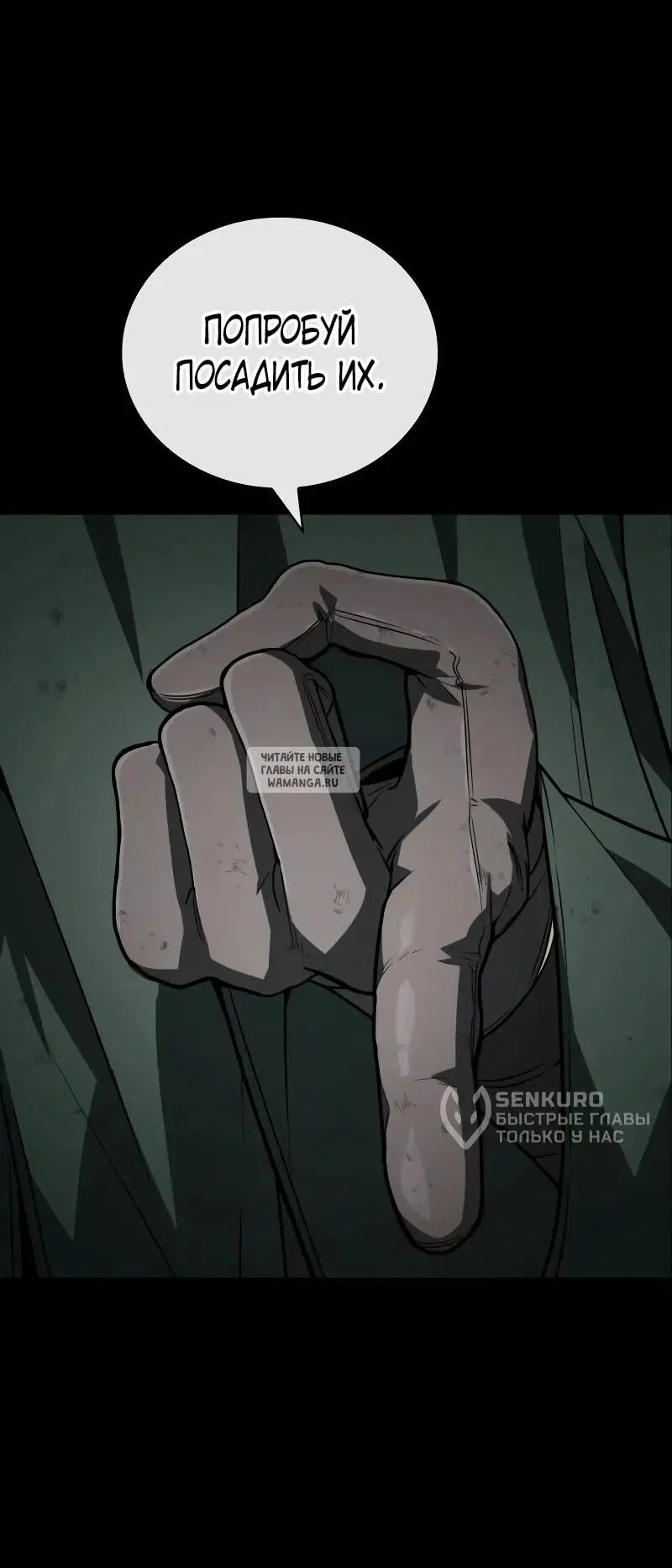 Page 80.000