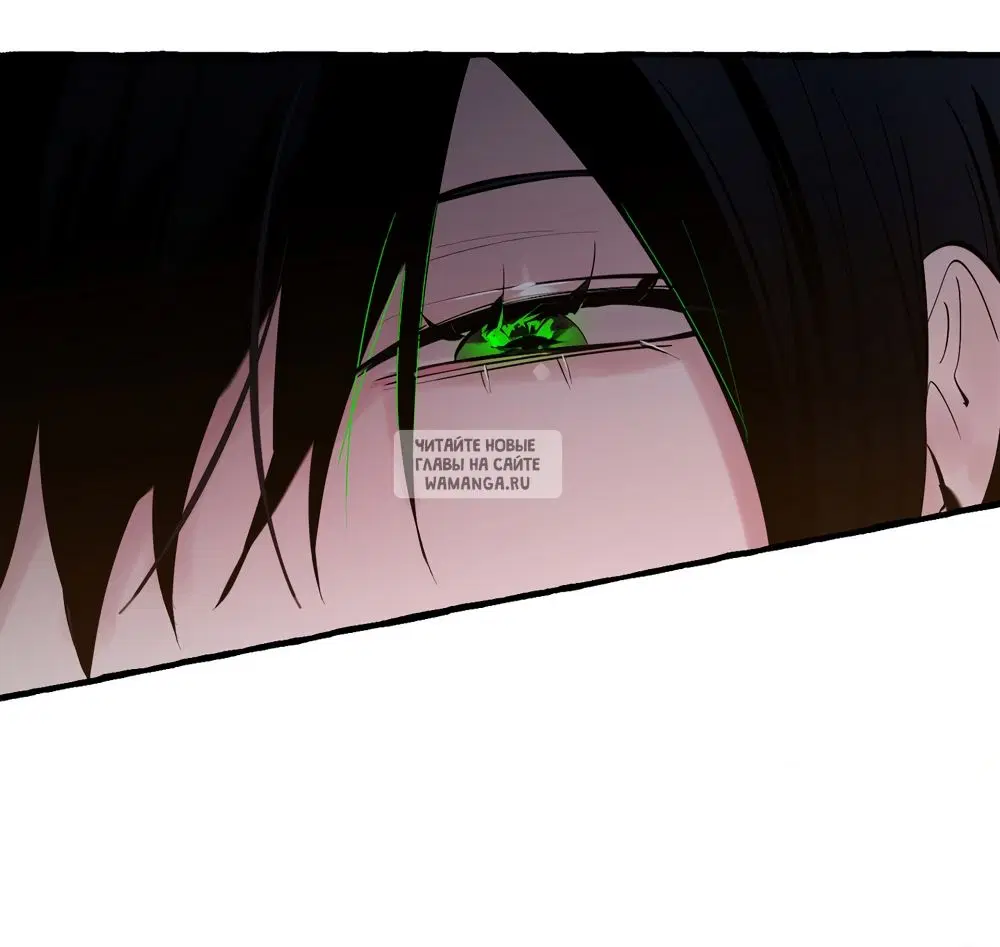 Page 54.000