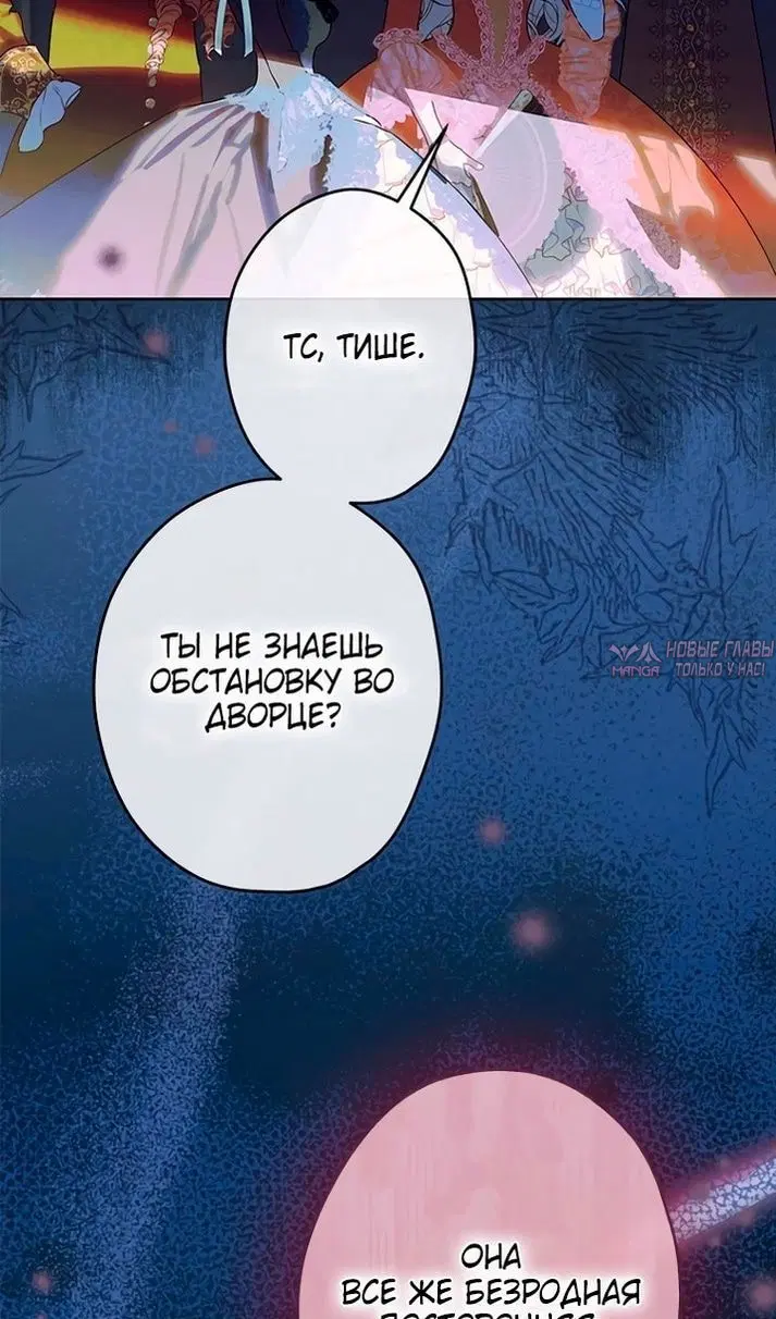 Page 35.000
